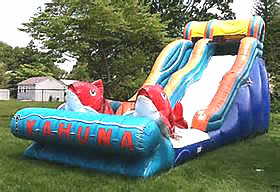 Slides and Inflatables Fun Rental Inflatable rides